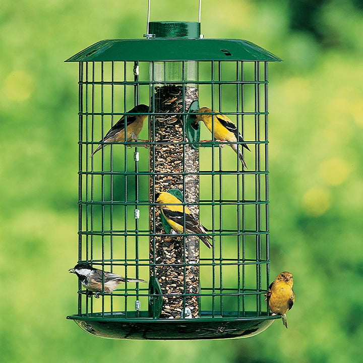 Duncraft Metal Selective Bird Feeder