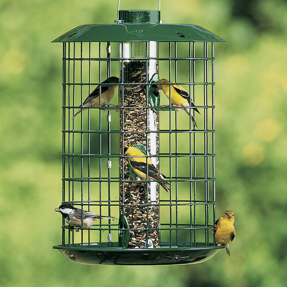 Duncraft Cage Bird Feeder