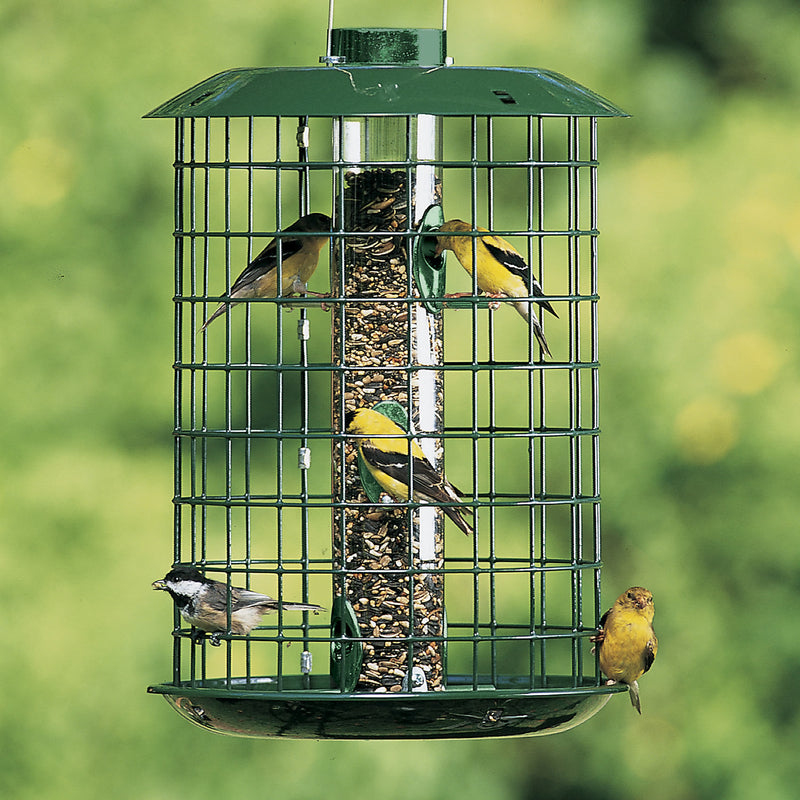 Duncraft Cage Bird Feeder