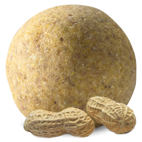 Peanut Butter Suet Balls beside peanuts, designed to attract birds with high-energy ingredients, suitable for any suet ball feeder, available in sets of 12 or 24.