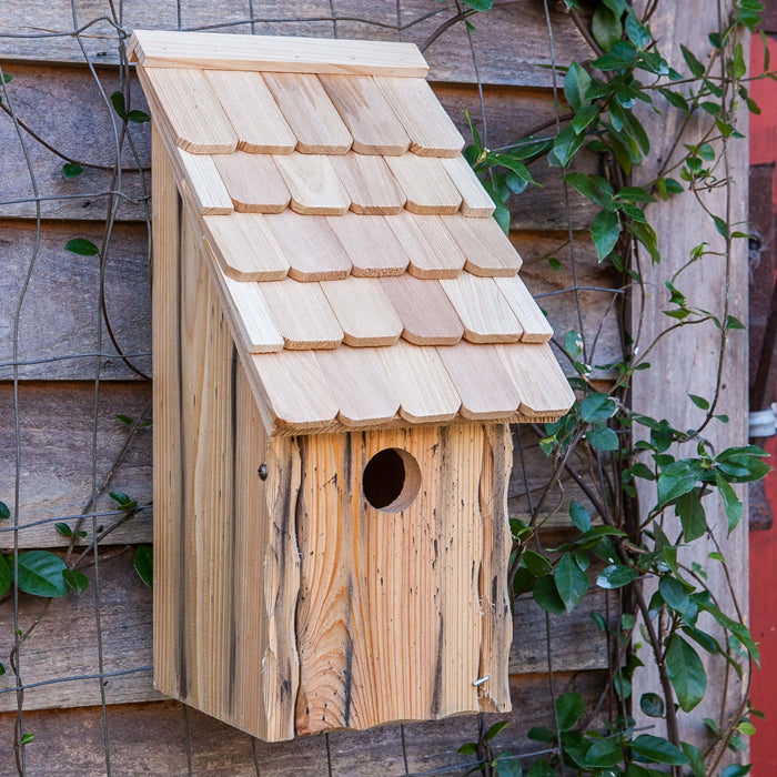 Wooden Bluebird Bunkhouse with a shingled roof and a 1-1/2 inch entry hole, front panel opens for easy cleaning, designed for outdoor mounting.