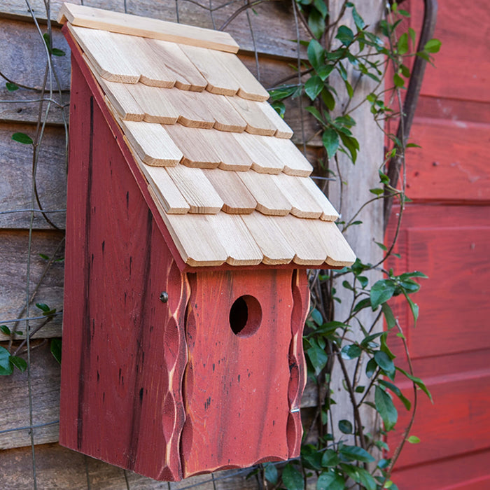 Bluebird Bunkhouse: A wooden birdhouse with a shingled roof, mounted on a wall. The front panel opens for easy cleaning and maintenance.