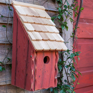 Bluebird Bunkhouse: A wooden birdhouse with a shingled roof, mounted on a wall. The front panel opens for easy cleaning and maintenance.