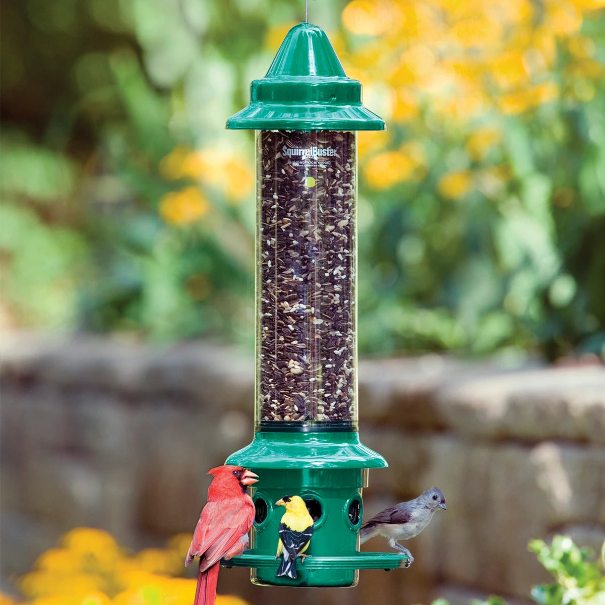 Brome Squirrel Buster Plus bird feeder, featuring a glass tube with seeds, multiple birds perched, and weight-sensitive metal skirt to deter squirrels and large birds.