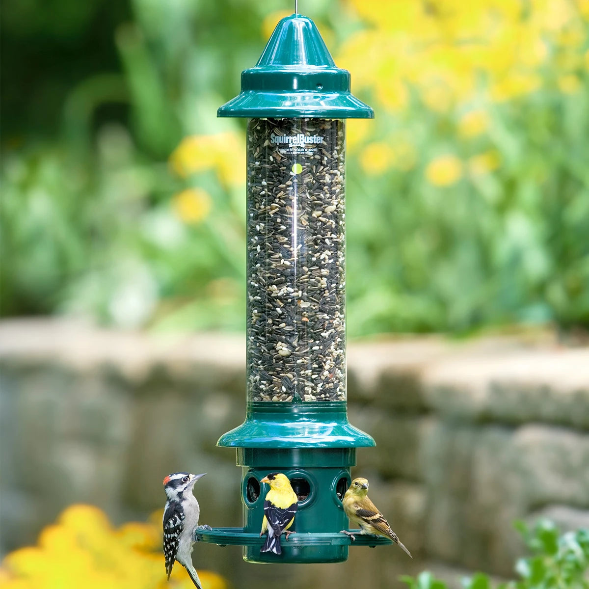 Brome Squirrel Buster Plus bird feeder with a clear tube filled with seeds, featuring birds perched on the feeder and branches nearby.