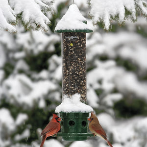 Brome Squirrel Buster Plus bird feeder with birds feeding, featuring a weight-sensitive metal skirt to keep squirrels and larger birds away.