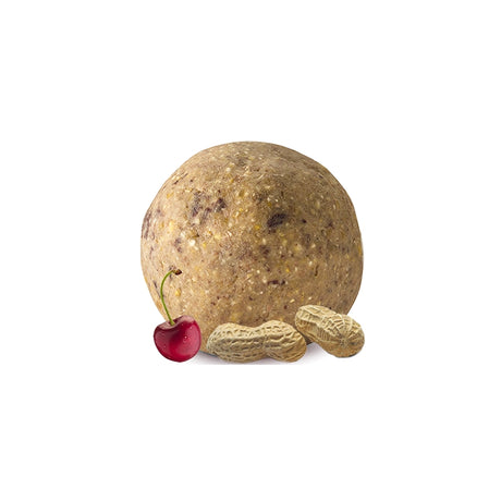 Fruit & Nut Suet Ball next to a cherry and peanuts, ideal for attracting birds with its high-energy, melt-resistant recipe.