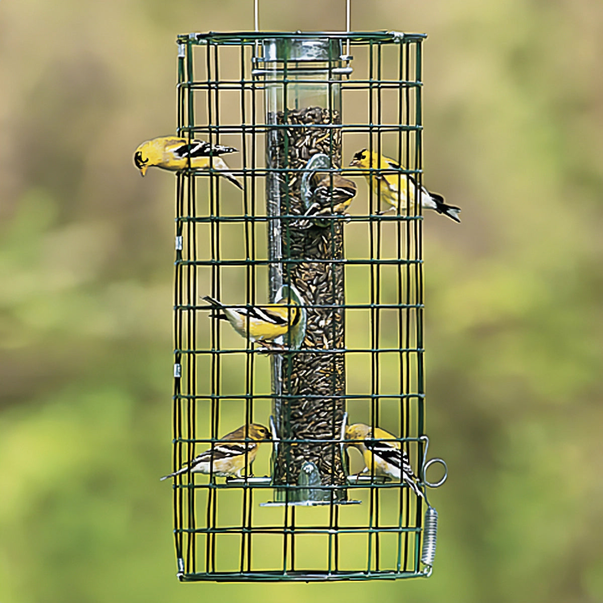 Duncraft Create a Haven bird feeder with wire cage, featuring small birds perched and feeding, designed to deter squirrels and fit flat top tube feeders.