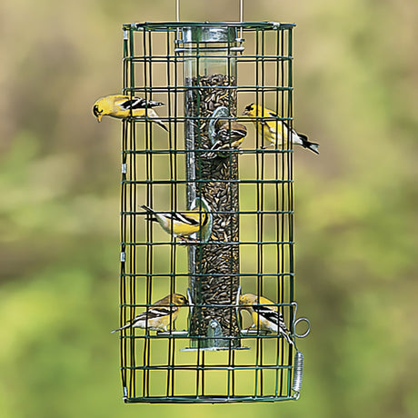 Duncraft Create a Haven bird feeder with wire cage, featuring small birds perched and feeding, designed to deter squirrels and fit flat top tube feeders.