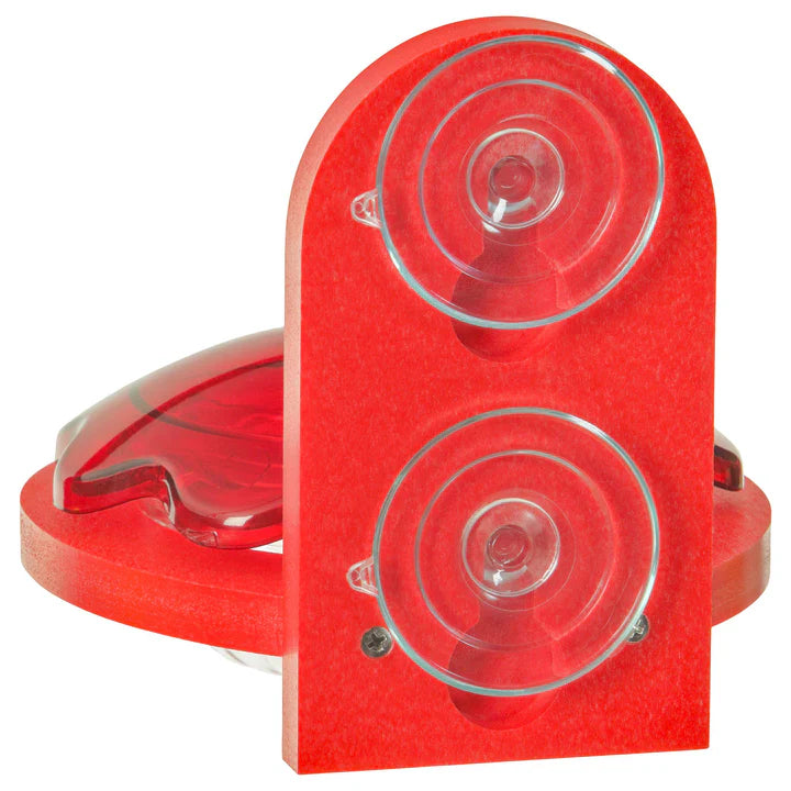 Window Mount Hummingbird Feeder, Red: Red apple-shaped feeder with clear dish, suction cups for window attachment, designed for easy cleaning and hummingbird attraction.