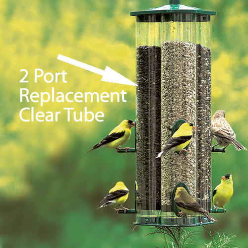 Duncraft 2 Port Tube bird feeder with multiple birds perched on it, showcasing its clear plastic replacement tube, 15 inches tall.