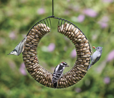 Whole Peanut Wreath Feeder with birds eating peanuts from the black metal spring-form shape, providing a fun, nutritious treat for various bird species.