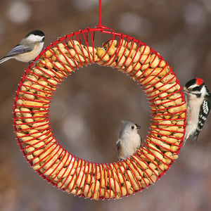 Red Whole Peanut Wreath with birds feeding on whole peanuts, displaying the spring-form shape that allows easy feeding and attracts various nut-loving birds.