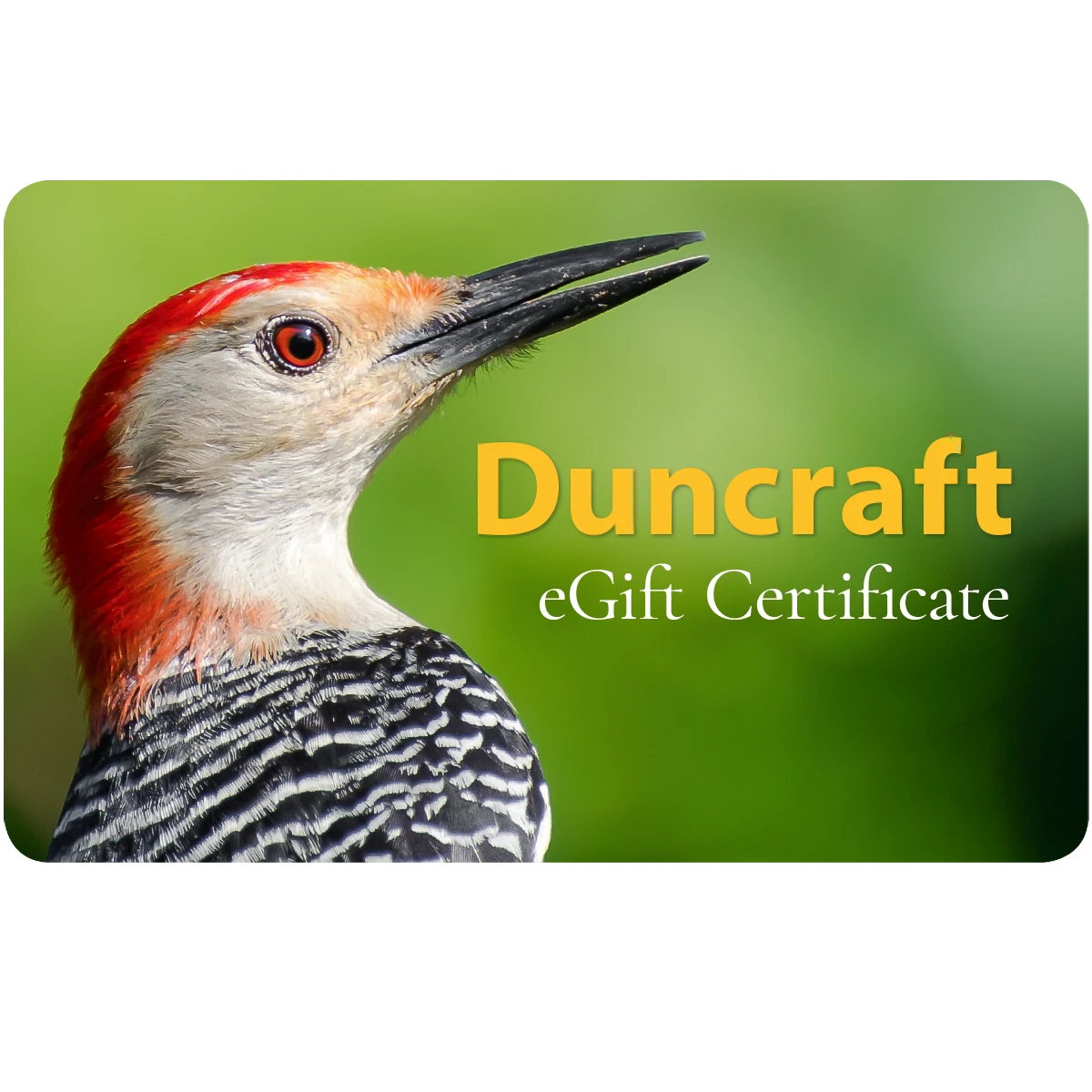 Duncraft Digital E-Gift Card featuring a close-up of a red-bellied woodpecker, ideal for selecting bird feeding products online.