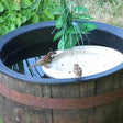 Bird Bath Raft floating in a garden pot, designed to provide shallow water for birds to drink and bathe. 14-inch diameter, UV-protected plastic.