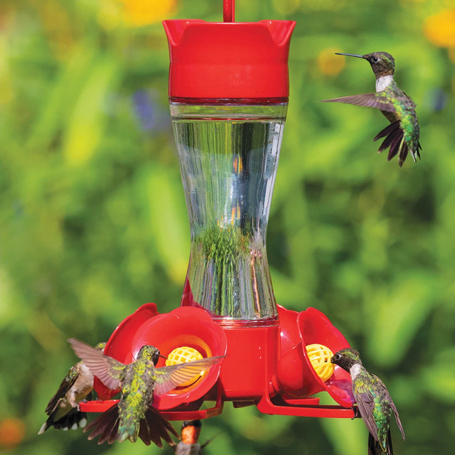 #1 Best Four Flower Frolic hummingbird feeder with clear glass jar, red plastic base, and four feeding ports, attracting hummingbirds around the feeder.