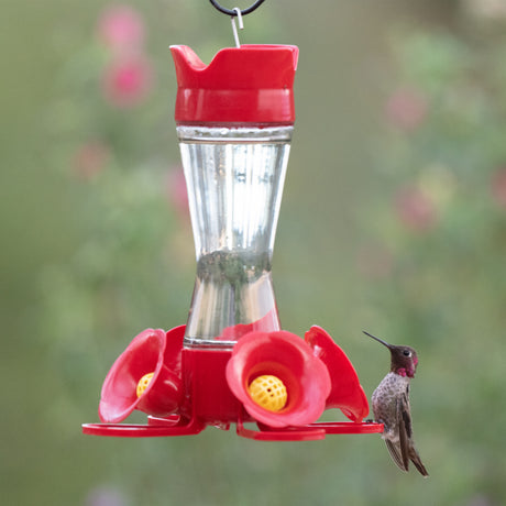 The Glass Sipper Hummingbird Feeder with a male Anna’s hummingbird feeding from its red flower-shaped design and yellow ports, set against greenery.
