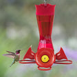 Pinch Waist Red Glass Hummingbird Feeder with a red glass reservoir, four feeding stations, and built-in ant moat, hanging outdoors with a hummingbird feeding.