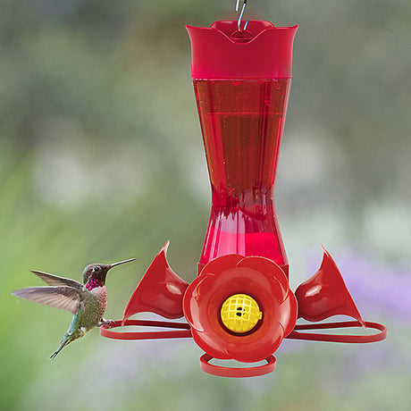 Pinch Waist Red Glass Hummingbird Feeder with a red glass reservoir, four feeding stations, and built-in ant moat, hanging outdoors with a hummingbird feeding.