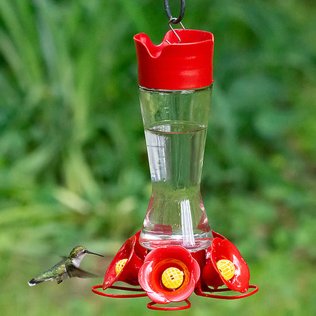 Large Pinch Waist Glass Hummingbird Feeder with a hummingbird feeding at one of the five ports on the red base, featuring a clear nectar reservoir.