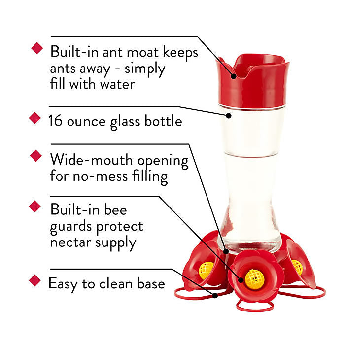 Large Pinch Waist Glass Hummingbird Feeder with instructions, featuring clear glass reservoir, five feeding ports, U-shaped perches, and red plastic top and bottom.