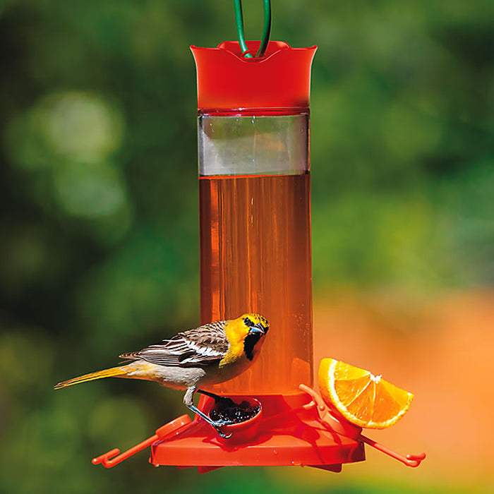 Fruit Trio Oriole Nectar Feeder with a bird perched on it, featuring attachments for orange slices and jelly, and four feeding ports.