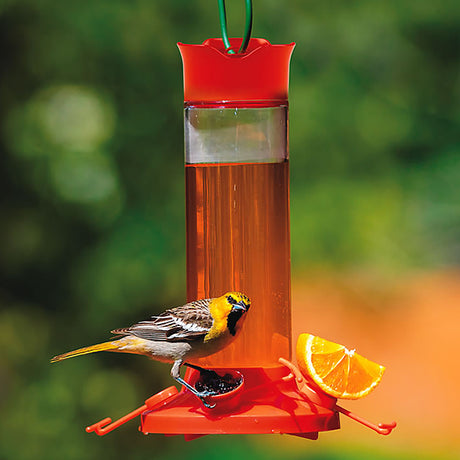 Fruit Trio Oriole Nectar Feeder with a bird perched on it, featuring attachments for orange slices and jelly, and four feeding ports.