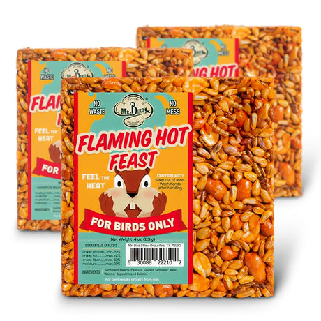 Flaming Hot Feast Block Small, Set of 3: Compressed birdseed blocks in vibrant packaging with spicy deterrent for squirrels; fits standard suet cages.