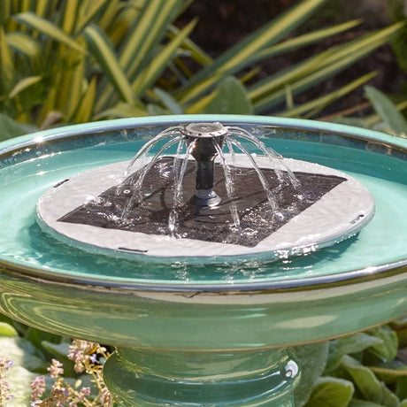 Aquanura 9 IntelliSOLAR Insert for Bird Baths, showcasing a water fountain with flowing water and solar panel, ideal for attracting birds and enhancing gardens.