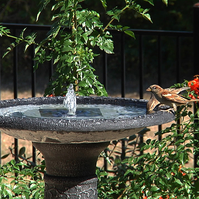 Aquanura Solar Bird Bath Insert in a garden birdbath, attracting birds with its solar-powered water fountain. Features a compact, durable design for easy setup.