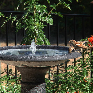 Aquanura Solar Bird Bath Insert in a garden birdbath, attracting birds with its solar-powered water fountain. Features a compact, durable design for easy setup.