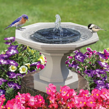 Aquanura Solar Bird Bath Insert with birds enjoying water. Features solar panel and fountain heads for attracting birds. Fits most birdbaths, sold separately.