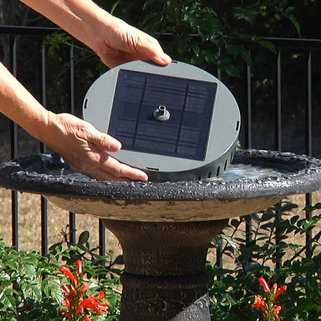 Person holding the Aquanura Solar Bird Bath Insert over a bird bath in a garden.