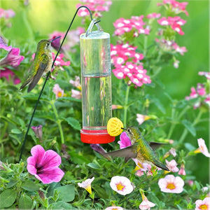 Planter Box Hummingbird Feeder with a hummingbird drinking from a clear, shatterproof plastic feeder, designed for easy hanging in gardens or planters.