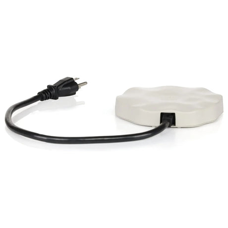 Heated Rock Bird Bath De-icer with attached Euro-style power cord, designed to maintain open water for birds in freezing temperatures.