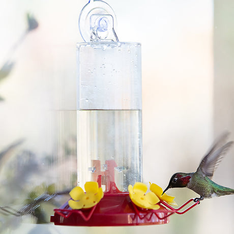 Window Mount Feeder with a hummingbird feeding at the clear reservoir and red base, attached to a window via suction cup.