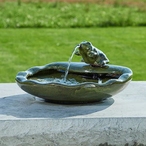 Ceramic Frog Solar Fountain