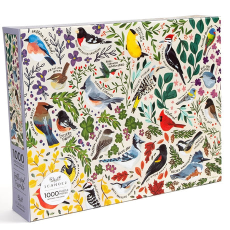 Feathered Friends 1,000 Piece Bird Jigsaw Puzzle featuring hand-painted birds and flowers on a box, ideal for bird watchers and nature enthusiasts.