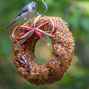 Flaming Hot Feast Bird Seed Wreath – Duncraft