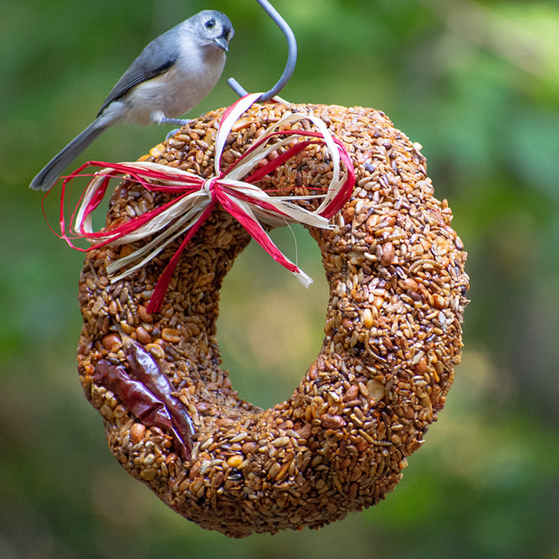 Flaming Hot Feast Bird Seed Wreath with a bird perched on it, featuring a decorative bow and designed to deter squirrels with its spicy seed mix.