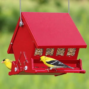 Mini Squirrel-Resistant Bird Feeder with birds feeding on both sides, featuring adjustable spring-loaded perches and a metal hanger.