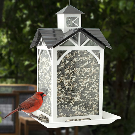 Modern Farmhouse Metal & Glass Stable Feeder with a bird perched on it, hanging outdoors, showcasing its four-sided feeding design and glass panels for monitoring seed levels.