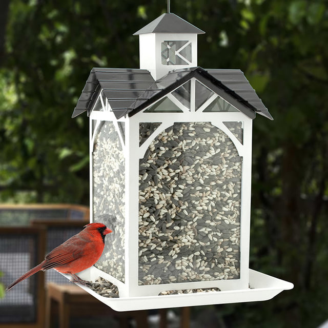 Modern Farmhouse Metal & Glass Stable Feeder with a bird perched on it, hanging outdoors, showcasing its four-sided feeding design and glass panels for monitoring seed levels.