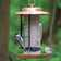 Metal Combination Hopper & Seed Scoop Feeder with copper top and tray, clear tube; two small songbirds feeding, against a blurred woodland backdrop.