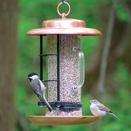 Metal Combination Hopper & Seed Scoop Feeder with birds perched and feeding, featuring a clearview reservoir and multiple feeding openings for easy seed monitoring.