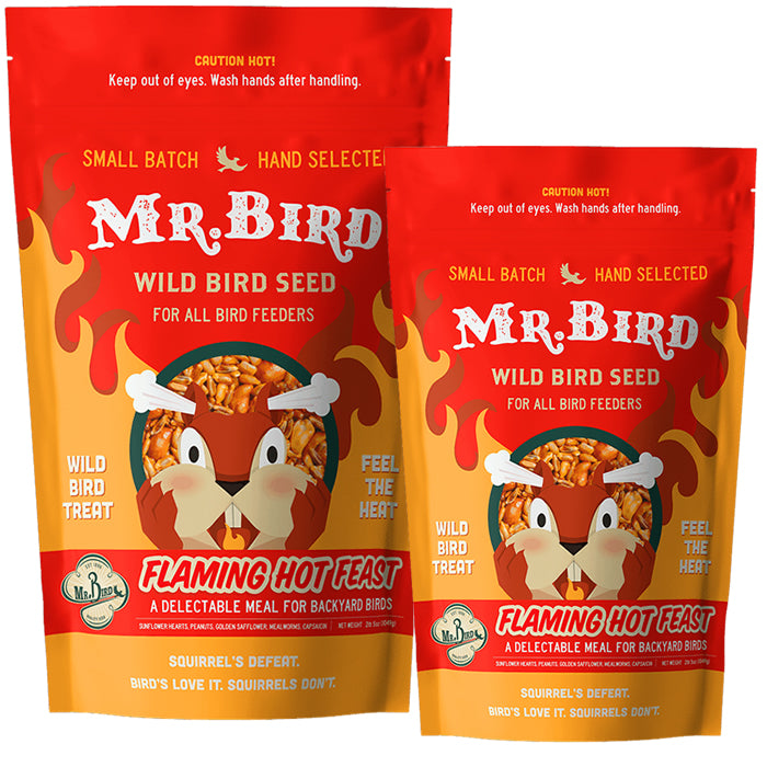 Mr. Bird Flaming Hot Feast Wild Bird Seed, 2 or 4-lb bag, featuring sunflower hearts, peanuts, golden safflower, mealworms, and capsaicin, with a cartoon squirrel and corn on the packaging.