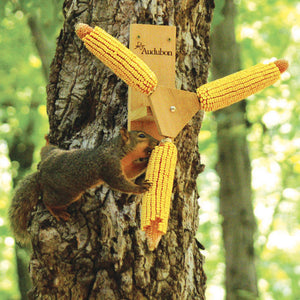 Squirrel Spinner feeder with a cedar base, featuring spinning corn cobs, attracting squirrels for interactive feeding and entertainment.