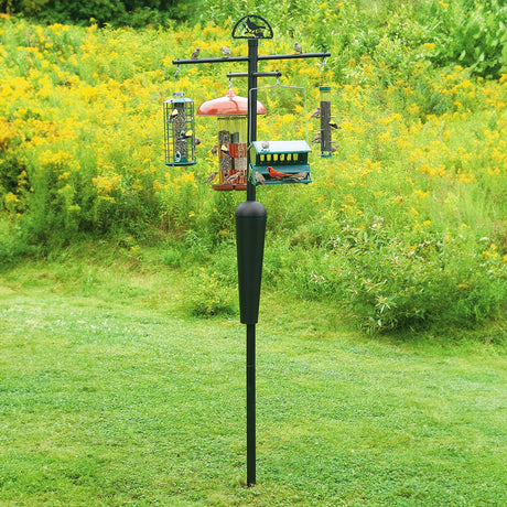 Squirrel Stopper System: Outdoor bird feeder pole with birds, featuring a squirrel-proof baffle and decorative cardinal accent. Supports up to eight feeders.