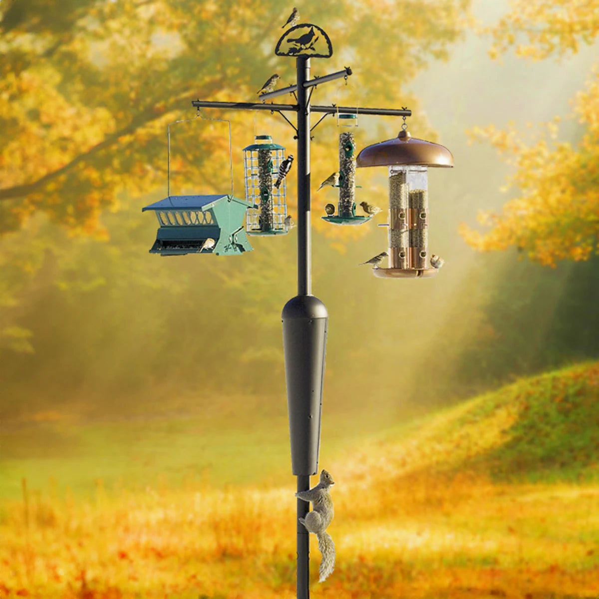 Squirrel Stopper System: A bird feeder on a pole with squirrel-proof baffle, supporting multiple feeders, and a decorative cardinal accent. A squirrel is attempting to climb the pole.