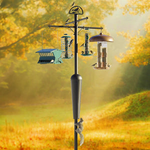 Squirrel Stopper System: A bird feeder on a pole with squirrel-proof baffle, supporting multiple feeders, and a decorative cardinal accent. A squirrel is attempting to climb the pole.